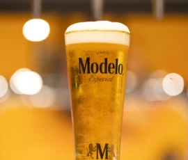 Draft Modelo